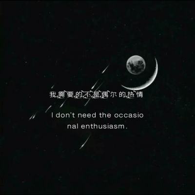 装满喵星人手机版下载