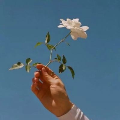 重装机兵手游公益服下载